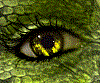 Avatar gebruiker