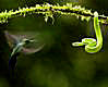 Avatar gebruiker