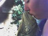Avatar gebruiker