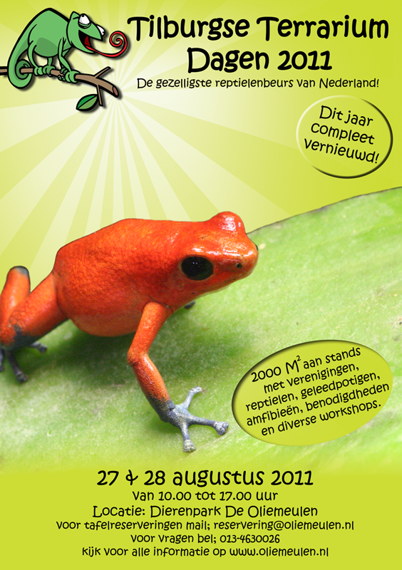 flyer TTD 2011.png