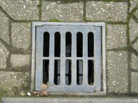 thumbnail_straatkolk-nederbetuwe-gnu-licentie.jpg