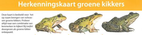 herkenningskaart_groene_kikkers_1.jpg