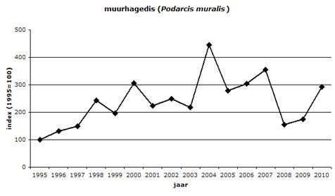 grafiek_muurhagedis.jpg