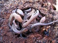 thumbnail_img_4301.jpg