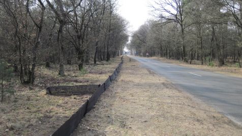 120222_kootwijk_traject_heetweg_richting_zw.jpg