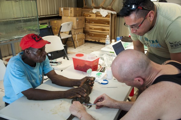 JA iguana Health screen 2013 (1 of 1)-8.JPG