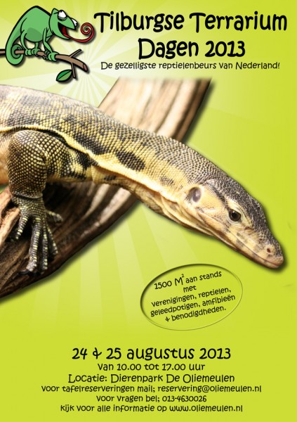 RF flyer A5 TTD 2013JPG-.jpg