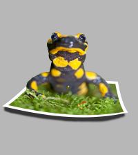 thumbnail_vuursalamander_out_of_bounds1_2.jpg