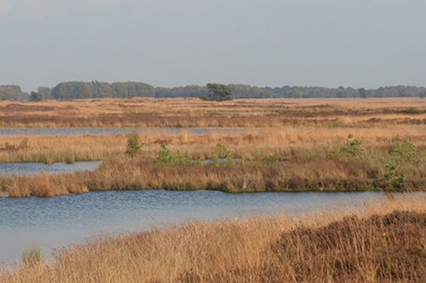Hijkerveld.jpg