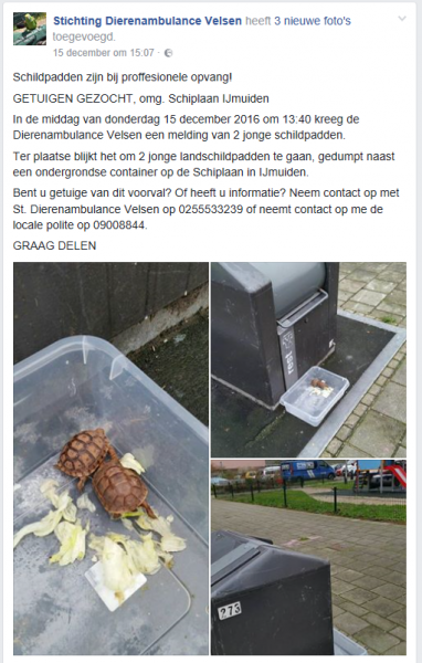 landschildpaden ijmuiden.png