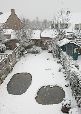 wintervijverJH.jpg