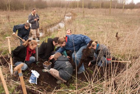 omzettenbroeihooppetervanwieringen.jpg