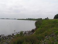 thumbnail_pict0001.jpg