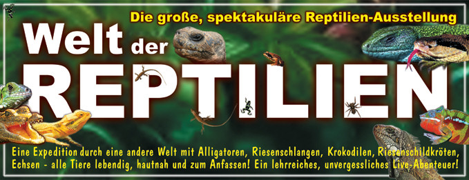 welt-der-reptilien-eindhoven.jpg