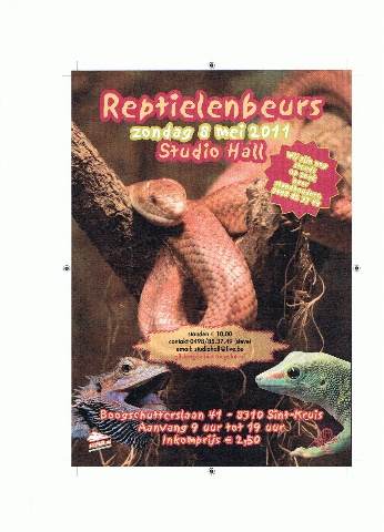 Herschaalde kopie van reptielenbeurs 2.jpg