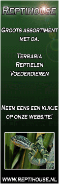 Reptihouse