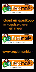 Reptimarkt
