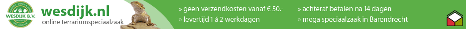 Wesdijk